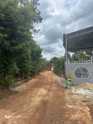 Bất động sản tại Đắk Lắk - ảnh 1