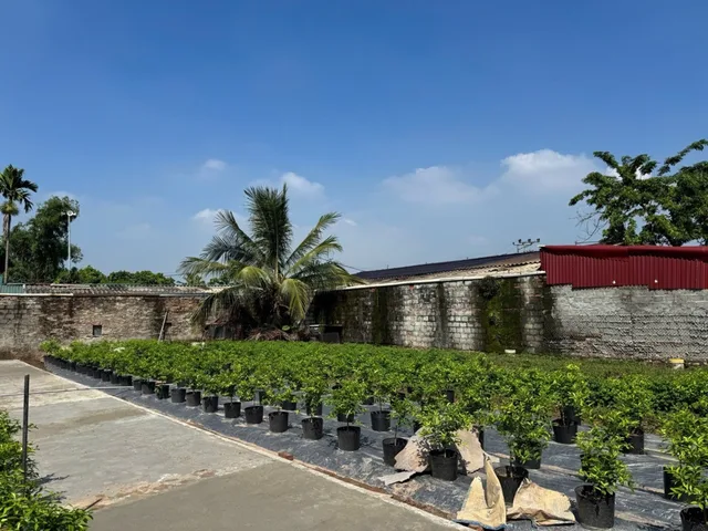 Bất động sản tại Hưng Yên - ảnh 1