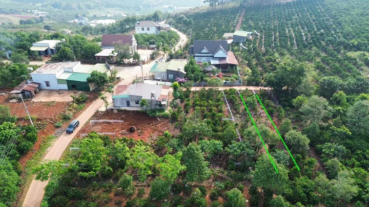 Bất động sản tại Lâm Đồng - ảnh 1