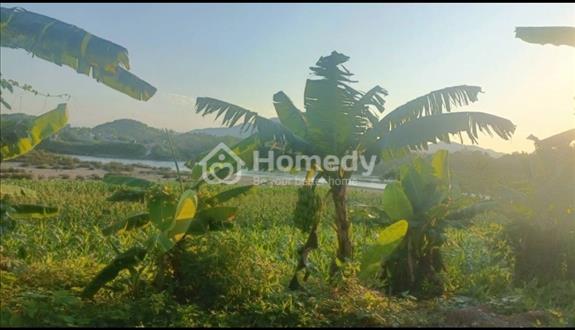 Bất động sản tại Tuyên Quang - ảnh 1
