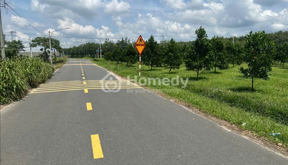 Bất động sản tại Bình Dương - ảnh 1