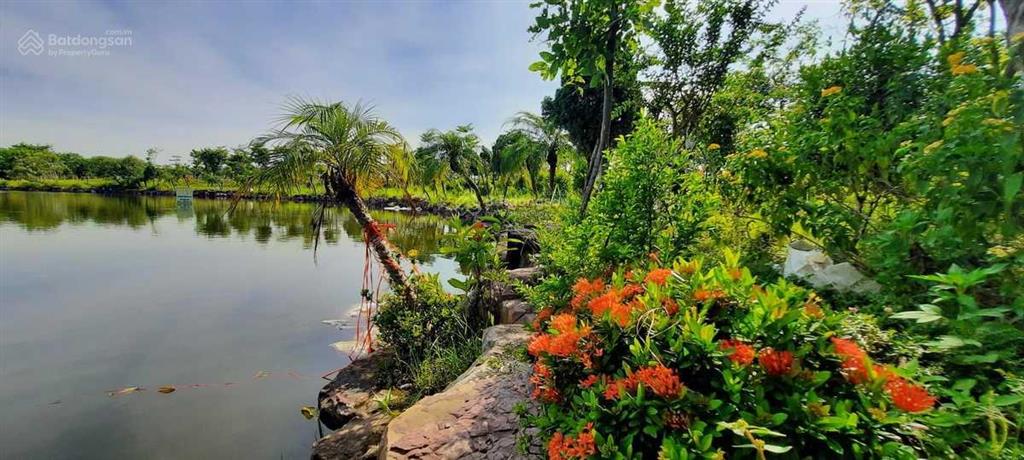 Bất động sản tại Bắc Ninh - ảnh 1
