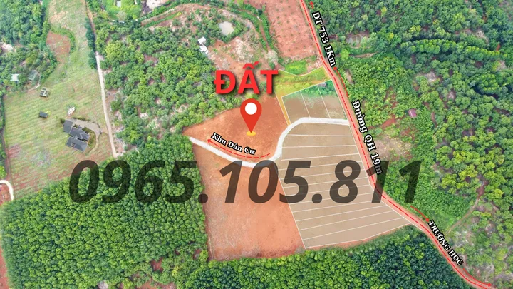 Bất động sản tại Bình Phước - ảnh 1