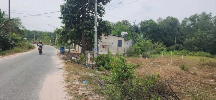 Bất động sản tại Bình Dương - ảnh 1