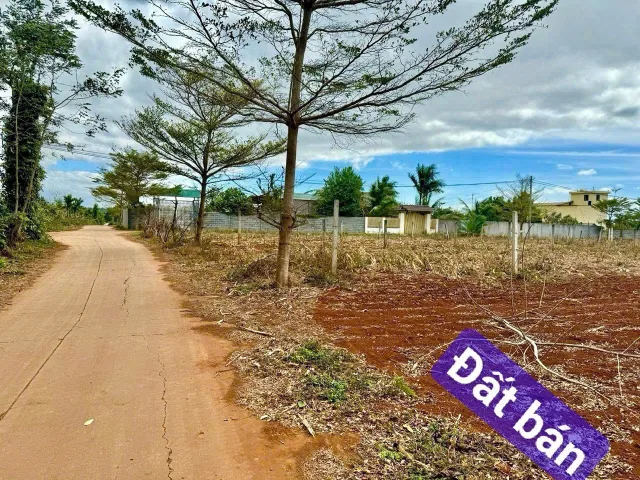Bất động sản tại Đắk Lắk - ảnh 1