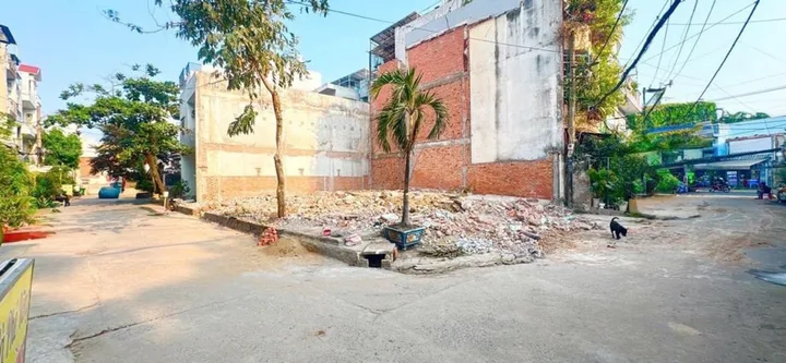 Bất động sản tại TP. Hồ Chí Minh - ảnh 1