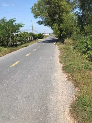 Bất động sản tại Tây Ninh - ảnh 1
