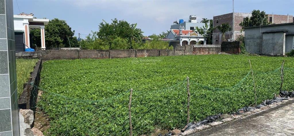 Bất động sản tại Thái Bình - ảnh 1