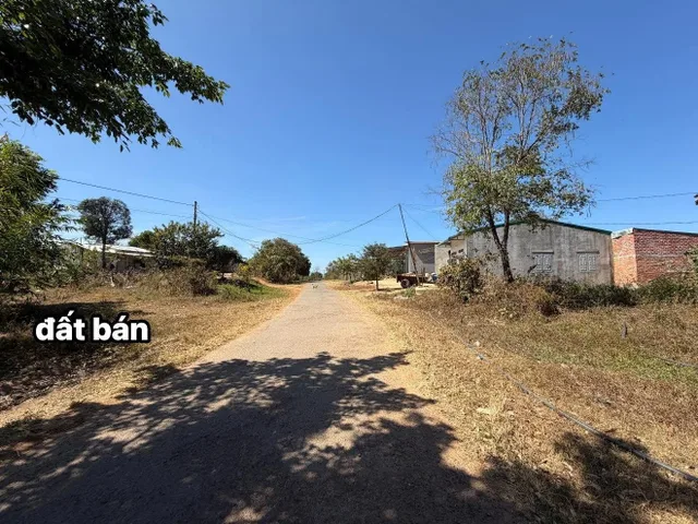 Bất động sản tại Đắk Lắk - ảnh 1
