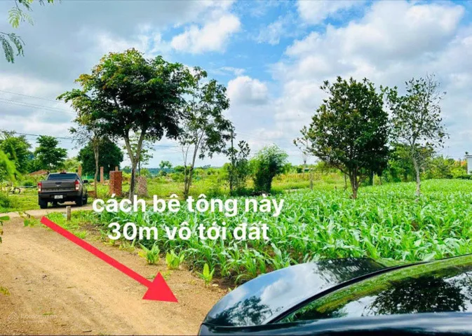 Bất động sản tại Đắk Lắk - ảnh 1