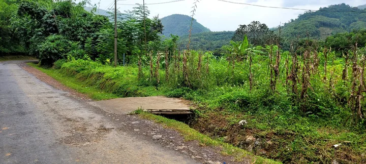 Bất động sản tại Phú Thọ - ảnh 1