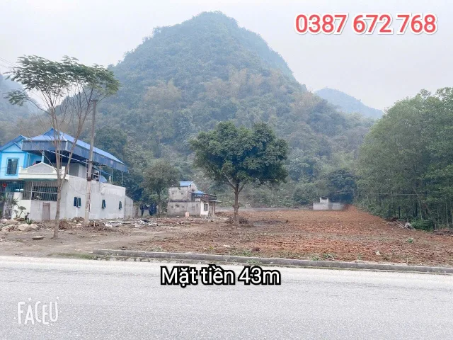 Bất động sản tại Phú Thọ - ảnh 1