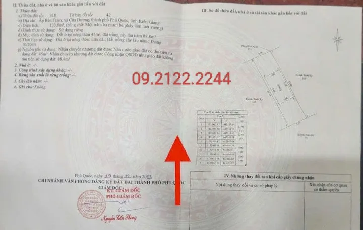 Bất động sản tại Kiên Giang - ảnh 1