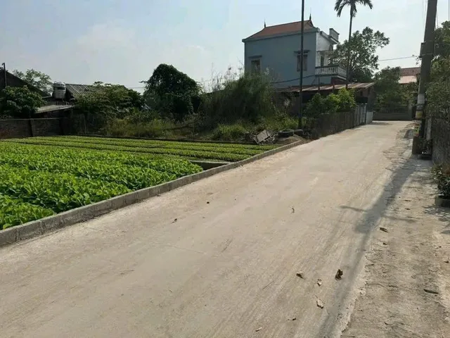 Bất động sản tại Hưng Yên - ảnh 1