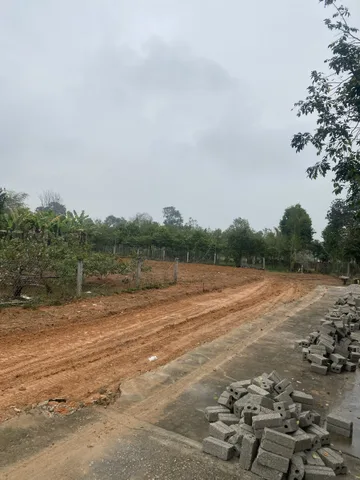 Bất động sản tại Thanh Hóa - ảnh 1