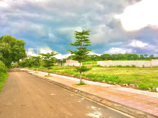 Bất động sản tại Đồng Nai - ảnh 1
