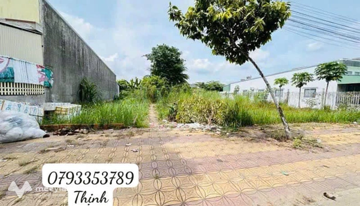 Bất động sản tại Cần Thơ - ảnh 1