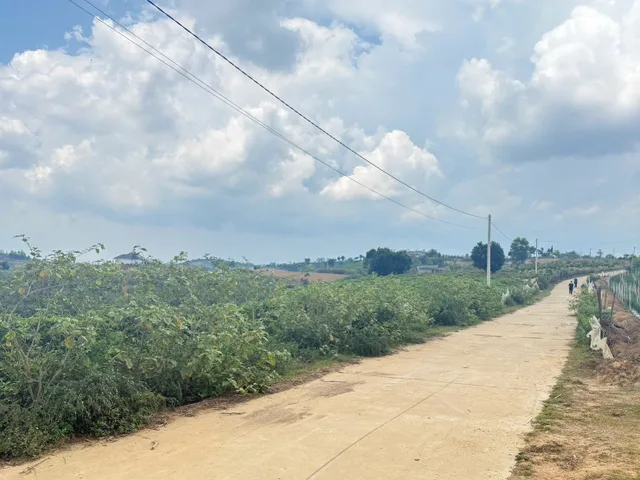 Bất động sản tại Lâm Đồng - ảnh 1