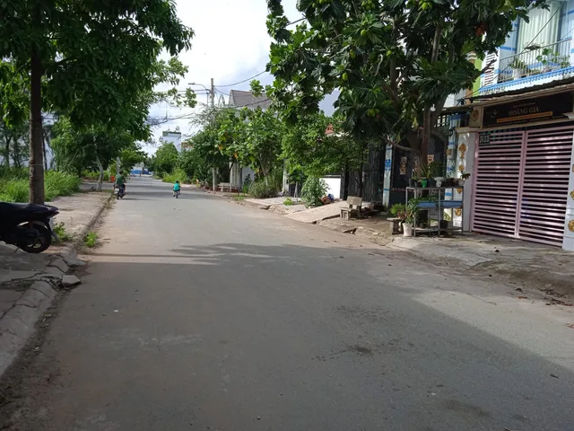 Bất động sản tại TP. Hồ Chí Minh - ảnh 1
