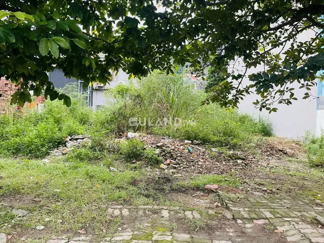 Bất động sản tại Quảng Ninh - ảnh 1