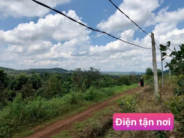 Bất động sản tại Lâm Đồng - ảnh 1