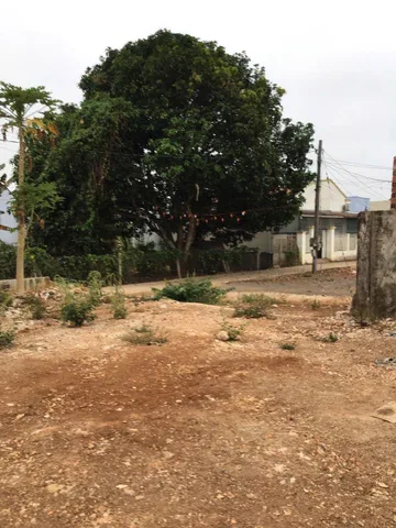 Bất động sản tại Bà Rịa - Vũng Tàu - ảnh 1