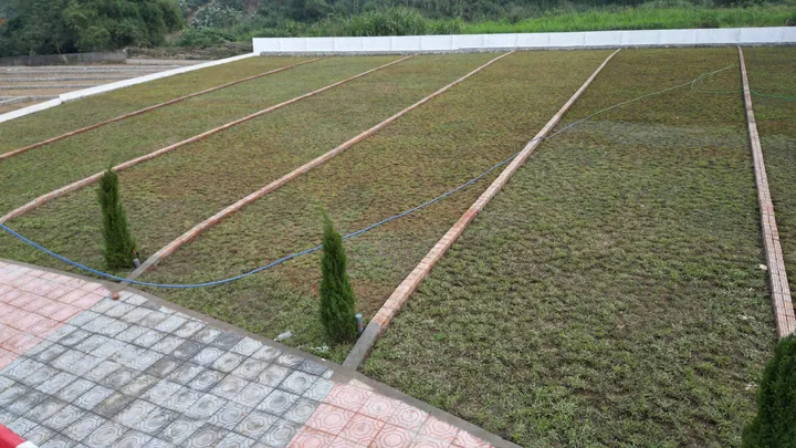 Bất động sản tại Phú Thọ - ảnh 1