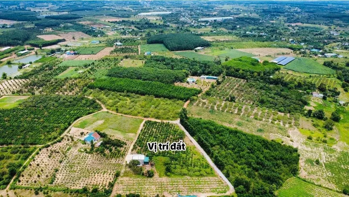 Bất động sản tại Đắk Lắk - ảnh 1
