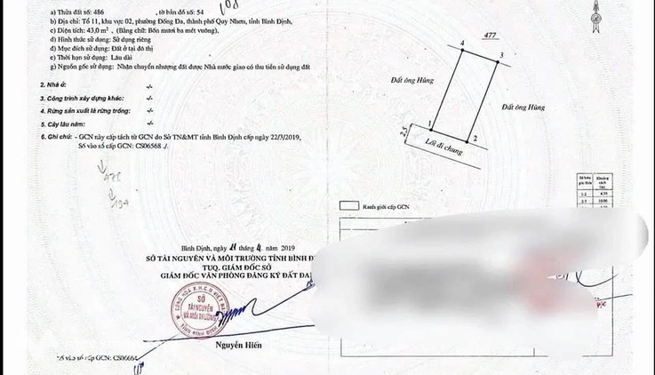 Bất động sản tại Bình Định - ảnh 1