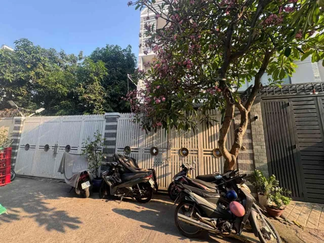 Bất động sản tại TP. Hồ Chí Minh - ảnh 1