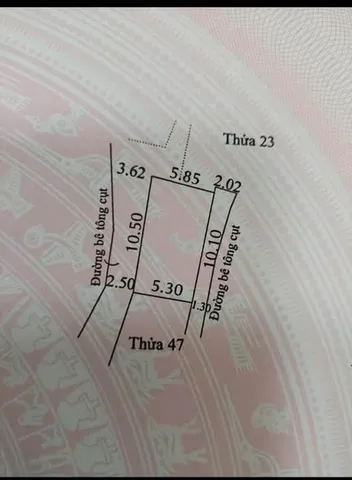 Bất động sản tại Bình Dương - ảnh 1