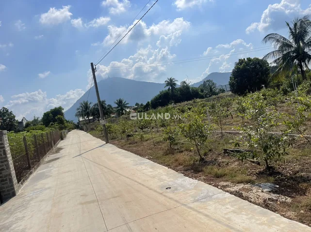 Bất động sản tại Tây Ninh - ảnh 1