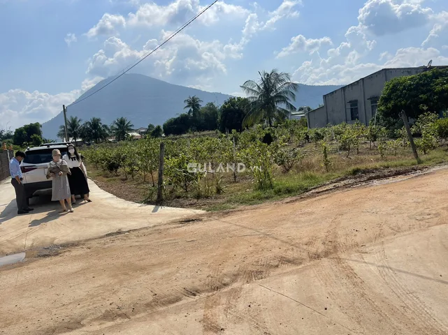 Bất động sản tại Tây Ninh - ảnh 1