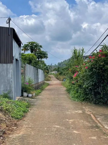 Bất động sản tại Đắk Lắk - ảnh 1