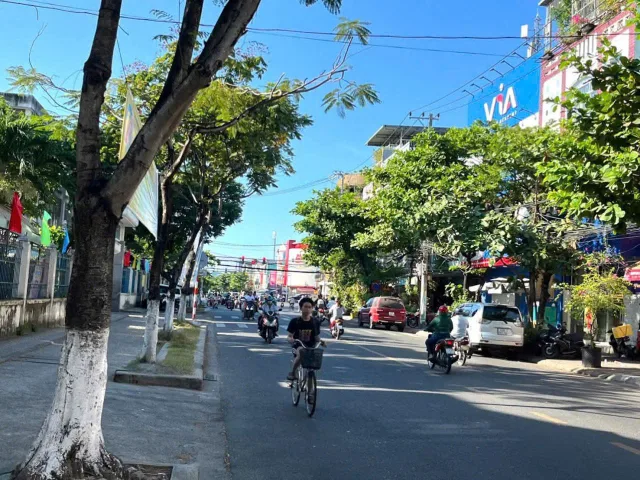 Bất động sản tại Đà Nẵng - ảnh 1