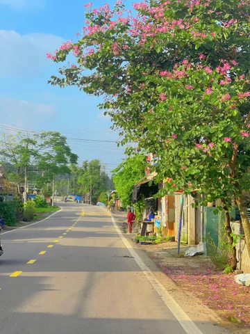 Bất động sản tại Đà Nẵng - ảnh 1