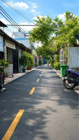 Bất động sản tại TP. Hồ Chí Minh - ảnh 1