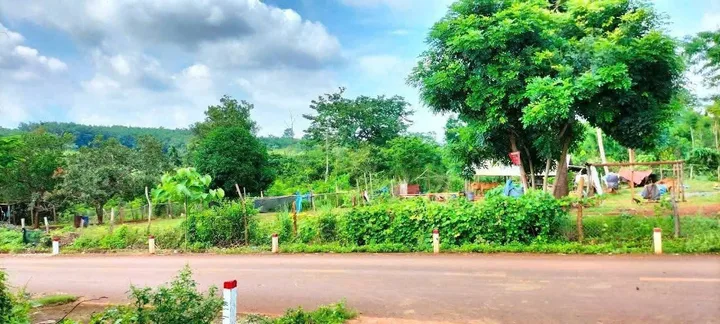 Bất động sản tại Bình Phước - ảnh 1