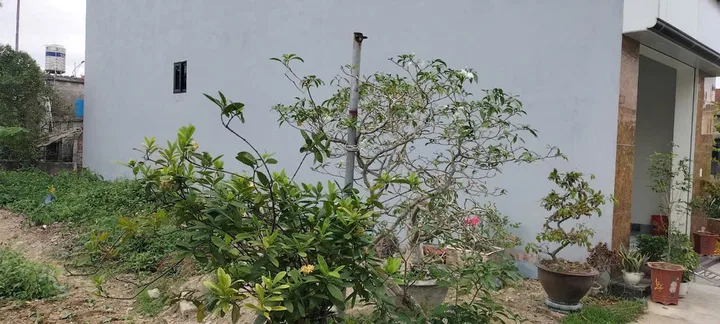 Bất động sản tại Hải Phòng - ảnh 1