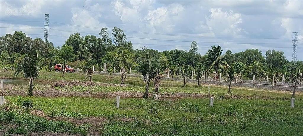 Bất động sản tại Long An - ảnh 1