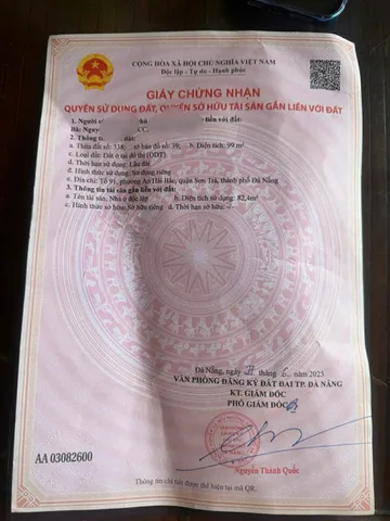 Bất động sản tại Đà Nẵng - ảnh 1