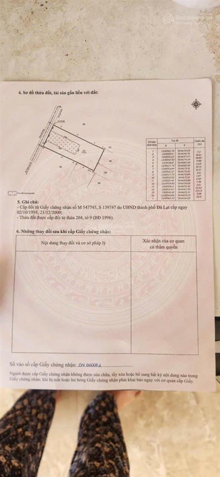 Bất động sản tại Lâm Đồng - ảnh 1