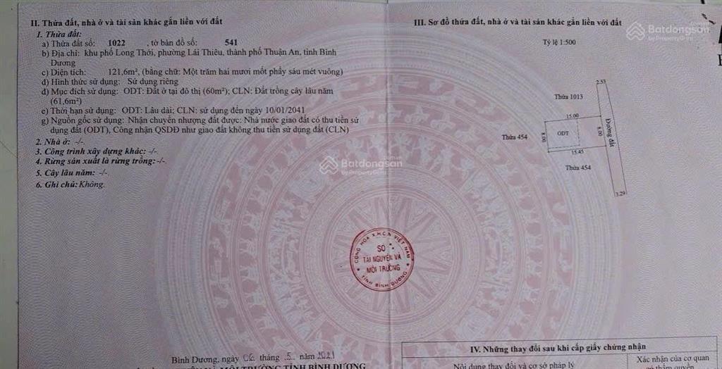 Bất động sản tại Bình Dương - ảnh 1