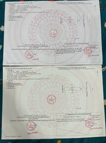 Bất động sản tại Bình Dương - ảnh 1