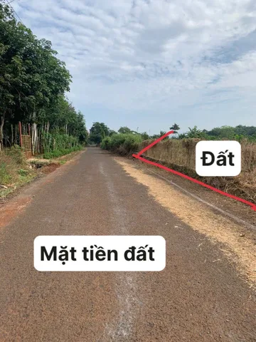 Bất động sản tại Bà Rịa - Vũng Tàu - ảnh 1