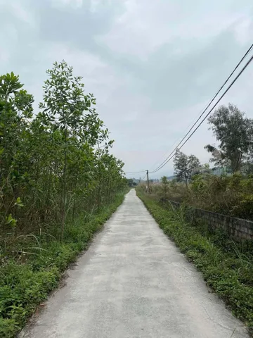 Bất động sản tại Quảng Ninh - ảnh 1