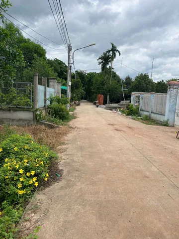 Bất động sản tại Bình Dương - ảnh 1