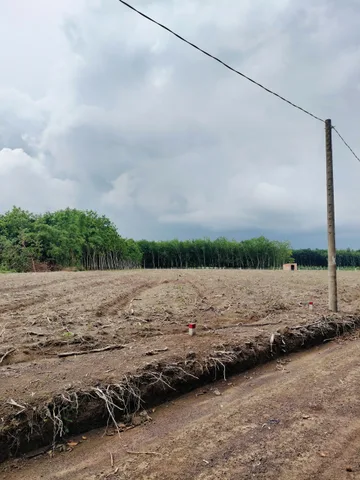 Bất động sản tại Bình Phước - ảnh 1
