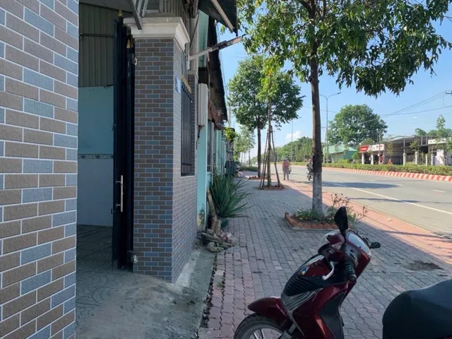 Bất động sản tại Bình Dương - ảnh 1