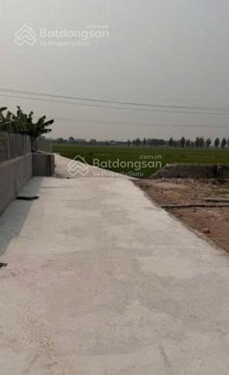 Bất động sản tại Thái Bình - ảnh 1